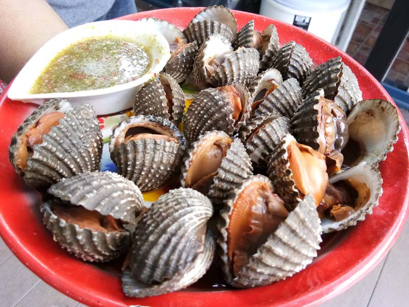 top 5+ โฮมสเตย์คลองโคน 2567 ที่พักสมุทรสงคราม อาหารทะเลสดๆ