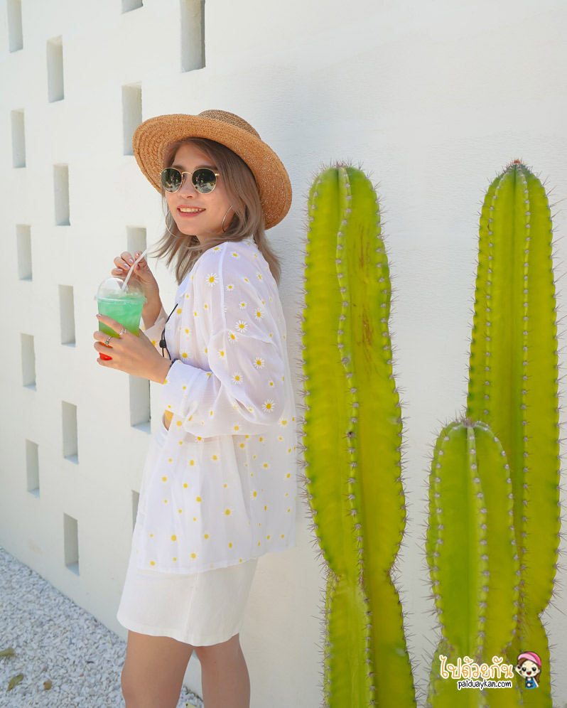 breeze box cafe x cactus, คาเฟ่แคคตัสพัทยา, ร้านกาแฟพัทยา, คาเฟ่พัทยา, breeze box cafe x cactus คาเฟ่แคคตัสสุดเก๋ในเมืองพัทยา