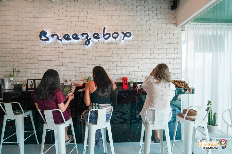 breeze box cafe x cactus, คาเฟ่แคคตัสพัทยา, ร้านกาแฟพัทยา, คาเฟ่พัทยา, breeze box cafe x cactus คาเฟ่แคคตัสสุดเก๋ในเมืองพัทยา