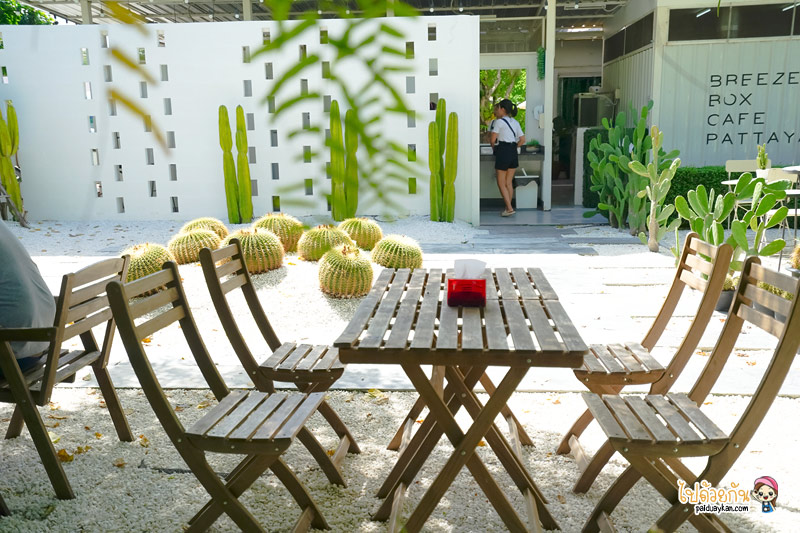 breeze box cafe x cactus, คาเฟ่แคคตัสพัทยา, ร้านกาแฟพัทยา, คาเฟ่พัทยา, breeze box cafe x cactus คาเฟ่แคคตัสสุดเก๋ในเมืองพัทยา