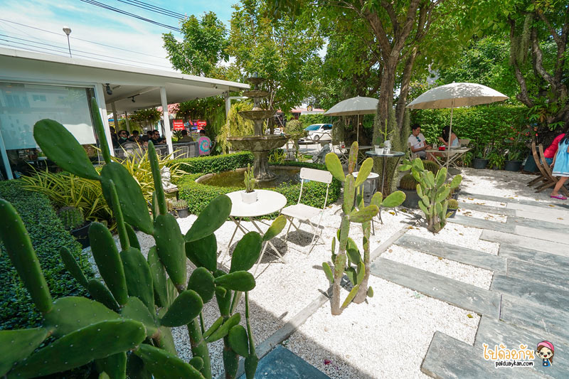 breeze box cafe x cactus, คาเฟ่แคคตัสพัทยา, ร้านกาแฟพัทยา, คาเฟ่พัทยา, breeze box cafe x cactus คาเฟ่แคคตัสสุดเก๋ในเมืองพัทยา