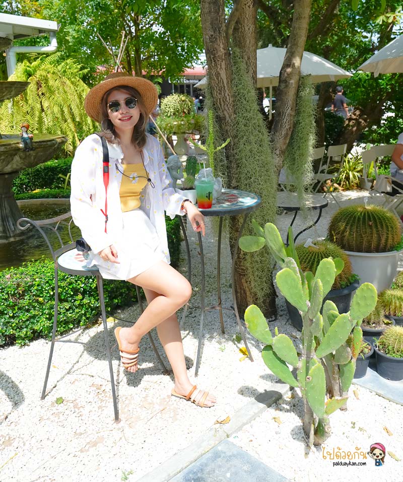 breeze box cafe x cactus, คาเฟ่แคคตัสพัทยา, ร้านกาแฟพัทยา, คาเฟ่พัทยา, breeze box cafe x cactus คาเฟ่แคคตัสสุดเก๋ในเมืองพัทยา