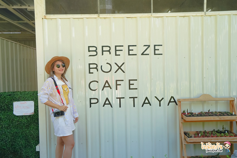 breeze box cafe x cactus, คาเฟ่แคคตัสพัทยา, ร้านกาแฟพัทยา, คาเฟ่พัทยา, breeze box cafe x cactus คาเฟ่แคคตัสสุดเก๋ในเมืองพัทยา