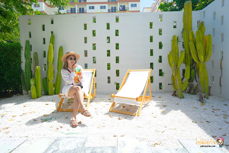breeze box cafe x cactus, คาเฟ่แคคตัสพัทยา, ร้านกาแฟพัทยา, คาเฟ่พัทยา, breeze box cafe x cactus คาเฟ่แคคตัสสุดเก๋ในเมืองพัทยา