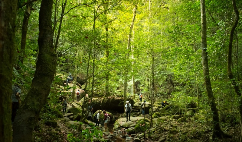 จังหวัดเลย, ถนนคนเดินเชียงคาน, ถนนลอยฟ้า ภูเก้าง้อม, ที่เที่ยวจังหวัดเลย 2023, ที่เที่ยวจังหวัดเลย 2566, ที่เที่ยวเลย, ที่เที่ยวเลย 2023, ที่เที่ยวเลย 2566, ผีตาโขนวัดโพนชัย, พิพิธภัณฑ์ผีตาโขน, ฟูจิเมืองเลย, ภูกระดึง, ภูซำทอง, ภูบ่อบิด, ภูบักได, ภูป่าเปาะ, ภูลมโล, ภูลำดวน, ภูเก้าง้อม, วนอุทยานภูบ่อบิด, วัดพระธาตุศรีสองรัก, วัดศรีคุณเมือง, วัดเนรมิตวิปัสสนา, วัดใหญ่, สกายวอล์คภูคกงิ้ว, สกายวอล์คเชียงคาน, สวนหินผางาม, ห้วยกระทิง, ห้วยน้ำหมานตอนบน, อุทยานแห่งชาตินาแห้ว, อุทยานแห่งชาติภูสวนทราย, อุทยานแห่งชาติภูเรือ, เชียงคาน, เลย, แก่งคุดคู้, top 20+ ที่เที่ยวจังหวัดเลย [กรกฎาคม 2024] ใช้ชีวิตสโลว์ไลฟ์ เที่ยวธรรมชาติ ชมความงามของทะเลภูเขา