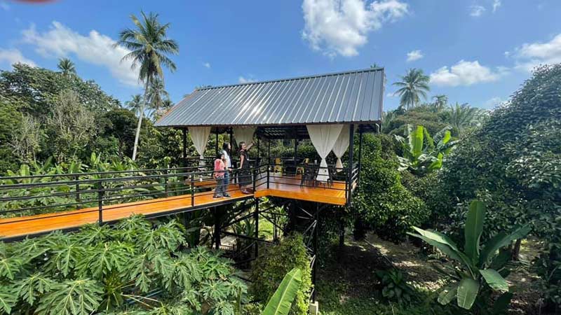 ร้านกาแฟชุมพร, คาเฟ่ติดทะเลชุมพร, คาเฟ่เขาทะลุชุมพร, คาเฟ่หลังสวน, คาเฟ่ละแม, คาเฟ่ชุมพร, top 20+ คาเฟ่ชุมพร ชมเขา มองทะเล