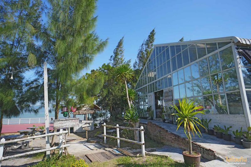 ร้านกาแฟชุมพร, คาเฟ่ติดทะเลชุมพร, คาเฟ่เขาทะลุชุมพร, คาเฟ่หลังสวน, คาเฟ่ละแม, คาเฟ่ชุมพร, top 20+ คาเฟ่ชุมพร ชมเขา มองทะเล