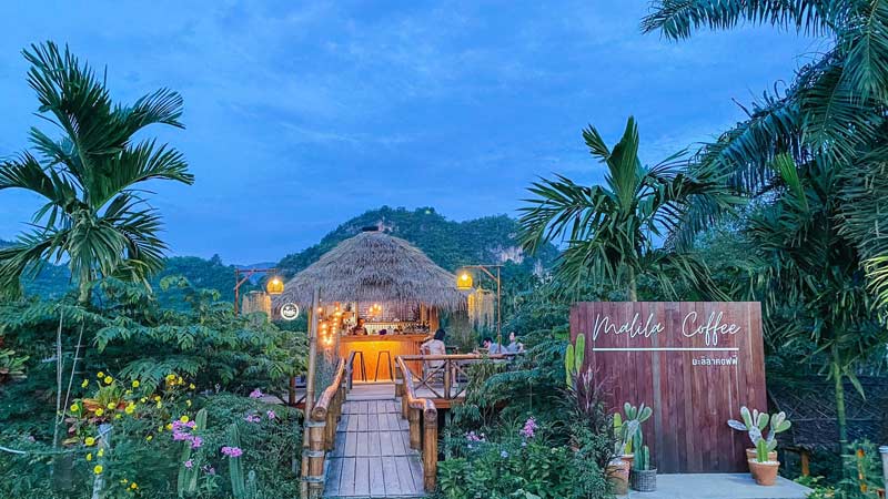 ร้านกาแฟชุมพร, คาเฟ่ติดทะเลชุมพร, คาเฟ่เขาทะลุชุมพร, คาเฟ่หลังสวน, คาเฟ่ละแม, คาเฟ่ชุมพร, top 20+ คาเฟ่ชุมพร ชมเขา มองทะเล