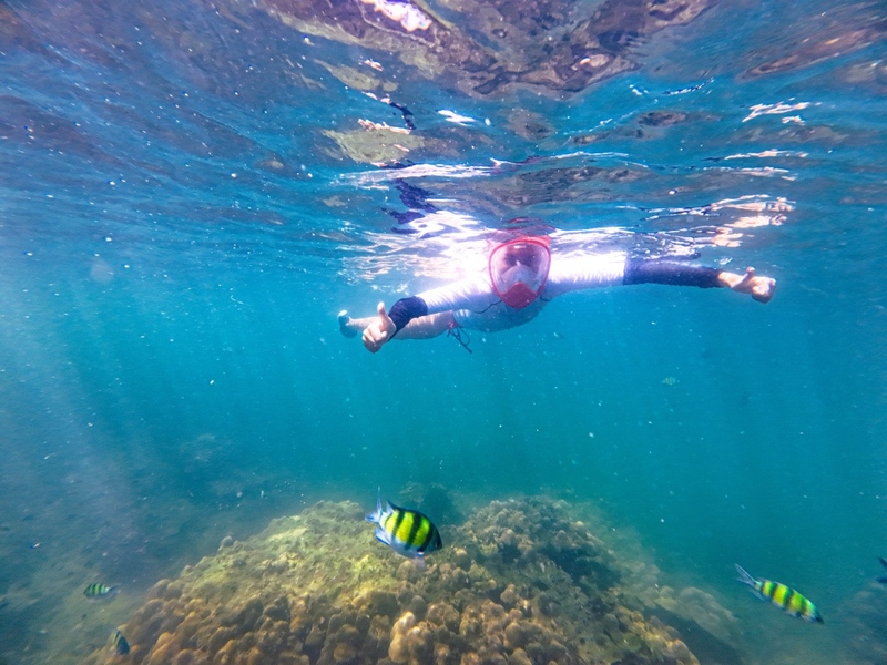 กระบี่, กระบี่ 2024, กระบี่ 2567, จังหวัดกระบี่, ถนนคนเดินกระบี่, ถ้ำพญานาค, ถ้ำพระนาง, ถ้ำไวกิ้ง, ทะเลอันดามัน, ทะเลแหวก กระบี่, ทะเลแหวก อ่าวนาง, ท่าปอมคลองสองน้ํา, ที่เที่ยวกระบี่, ที่เที่ยวกระบี่ 2567, ที่เที่ยวลับ กระบี่, น้ำตกร้อนคลองท่อม, พีพี, วัดคลองท่อม, วัดถ้ำเสือ, วัดถ้ำเสือ กระบี่, สระมรกต, หมู่เกาะพีพี, หมู่เกาะห้า, หมู่เกาะเหลาบิเละ, หาดต้นไทร, หาดพระนาง, หาดอ่าวนาง, หาดไร่เลย์, อ่าวมาหยา, เกาะทับ, เกาะปอดะ, เกาะพีพี, เกาะพีพีดอน, เกาะพีพีเล, เกาะรอก, เกาะลันตา, เกาะลันตาน้อย, เกาะลันตาใหญ่, เกาะหม้อ, เกาะห้อง, เกาะไก่, เกาะไม้ไผ่, เขาขนาบน้ำ, เขาผาค้อม, เที่ยวกระบี่, เที่ยวกระบี่ 2024, เที่ยวกระบี่ 2567, ไร่เลย์, top 20+ ที่เที่ยวกระบี่ [กรกฎาคม 2024] ความงดงามแห่งอันดามัน ตะลุยชมเกาะแห่งสรวงสวรรค์