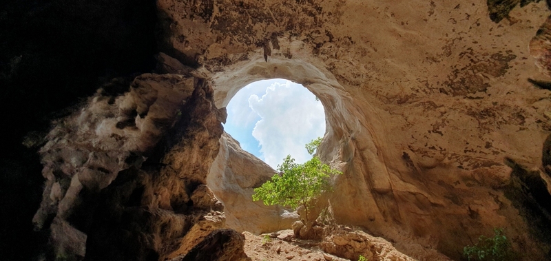 กระบี่, กระบี่ 2024, กระบี่ 2567, จังหวัดกระบี่, ถนนคนเดินกระบี่, ถ้ำพญานาค, ถ้ำพระนาง, ถ้ำไวกิ้ง, ทะเลอันดามัน, ทะเลแหวก กระบี่, ทะเลแหวก อ่าวนาง, ท่าปอมคลองสองน้ํา, ที่เที่ยวกระบี่, ที่เที่ยวกระบี่ 2567, ที่เที่ยวลับ กระบี่, น้ำตกร้อนคลองท่อม, พีพี, วัดคลองท่อม, วัดถ้ำเสือ, วัดถ้ำเสือ กระบี่, สระมรกต, หมู่เกาะพีพี, หมู่เกาะห้า, หมู่เกาะเหลาบิเละ, หาดต้นไทร, หาดพระนาง, หาดอ่าวนาง, หาดไร่เลย์, อ่าวมาหยา, เกาะทับ, เกาะปอดะ, เกาะพีพี, เกาะพีพีดอน, เกาะพีพีเล, เกาะรอก, เกาะลันตา, เกาะลันตาน้อย, เกาะลันตาใหญ่, เกาะหม้อ, เกาะห้อง, เกาะไก่, เกาะไม้ไผ่, เขาขนาบน้ำ, เขาผาค้อม, เที่ยวกระบี่, เที่ยวกระบี่ 2024, เที่ยวกระบี่ 2567, ไร่เลย์, top 20+ ที่เที่ยวกระบี่ [กรกฎาคม 2024] ความงดงามแห่งอันดามัน ตะลุยชมเกาะแห่งสรวงสวรรค์