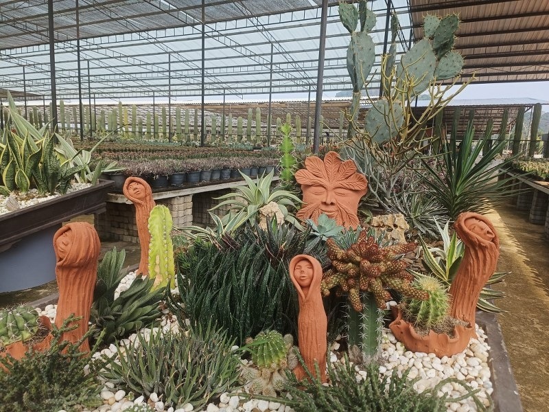 พัทยา, top 10+ ที่เที่ยวพัทยา 2567 จุดเช็คอินพัทยา เปิดใหม่ เข้าฟรี ที่เที่ยวตอนเย็น กลางคืน