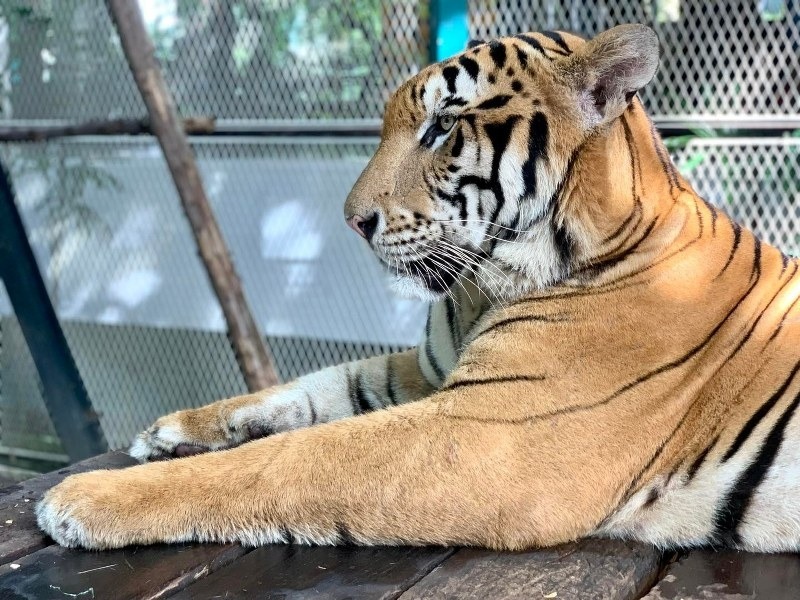 พัทยา, top 10+ ที่เที่ยวพัทยา 2567 จุดเช็คอินพัทยา เปิดใหม่ เข้าฟรี ที่เที่ยวตอนเย็น กลางคืน