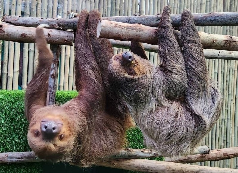 พัทยา, top 10+ ที่เที่ยวพัทยา 2567 จุดเช็คอินพัทยา เปิดใหม่ เข้าฟรี ที่เที่ยวตอนเย็น กลางคืน