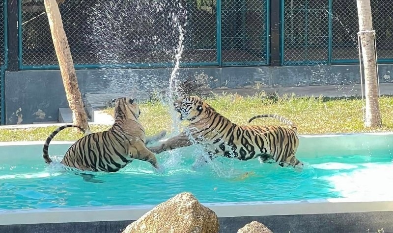 พัทยา, top 10+ ที่เที่ยวพัทยา 2567 จุดเช็คอินพัทยา เปิดใหม่ เข้าฟรี ที่เที่ยวตอนเย็น กลางคืน