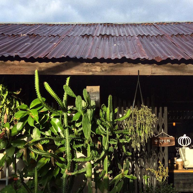 เที่ยวโคราช, เที่ยวนครราชสีมา, ร้านกาแฟโคราช, ร้านกาแฟในเมืองโคราช, คาเฟ่โคราช, ที่ถ่ายรูปโคราช, top 15+ ร้านกาแฟฮิบ ในเมืองโคราช