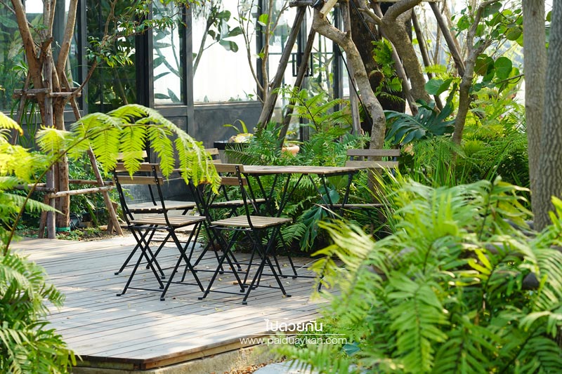 หมอกคาเฟ่, ร้านกาแฟเลียบด่วน, ร้านกาแฟย่านเกษตรนวมินทร์, หมอกคาเฟ่ ร้านกาแฟกลางแมกไม้ และไอหมอก