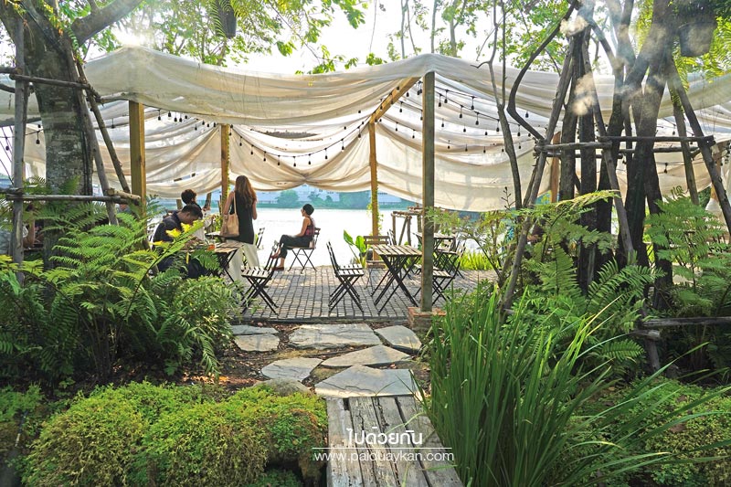 หมอกคาเฟ่, ร้านกาแฟเลียบด่วน, ร้านกาแฟย่านเกษตรนวมินทร์, หมอกคาเฟ่ ร้านกาแฟกลางแมกไม้ และไอหมอก