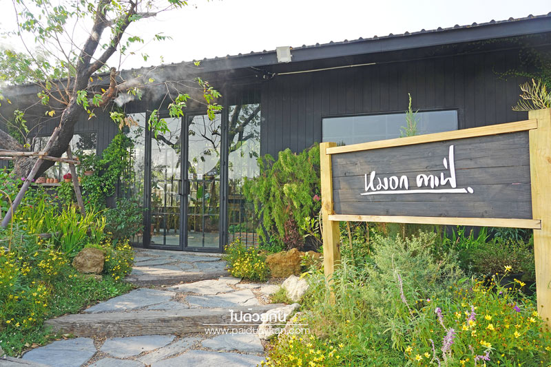 หมอกคาเฟ่, ร้านกาแฟเลียบด่วน, ร้านกาแฟย่านเกษตรนวมินทร์, หมอกคาเฟ่ ร้านกาแฟกลางแมกไม้ และไอหมอก