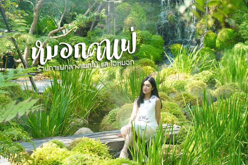 หมอกคาเฟ่, ร้านกาแฟเลียบด่วน, ร้านกาแฟย่านเกษตรนวมินทร์, หมอกคาเฟ่ ร้านกาแฟกลางแมกไม้ และไอหมอก