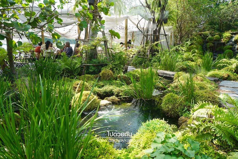 หมอกคาเฟ่, ร้านกาแฟเลียบด่วน, ร้านกาแฟย่านเกษตรนวมินทร์, หมอกคาเฟ่ ร้านกาแฟกลางแมกไม้ และไอหมอก