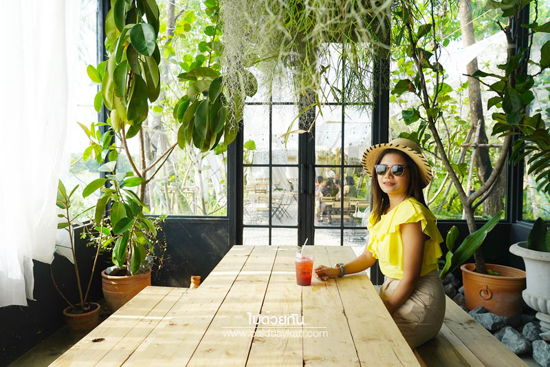 หมอกคาเฟ่, ร้านกาแฟเลียบด่วน, ร้านกาแฟย่านเกษตรนวมินทร์, หมอกคาเฟ่ ร้านกาแฟกลางแมกไม้ และไอหมอก