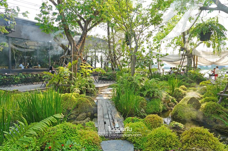 หมอกคาเฟ่, ร้านกาแฟเลียบด่วน, ร้านกาแฟย่านเกษตรนวมินทร์, หมอกคาเฟ่ ร้านกาแฟกลางแมกไม้ และไอหมอก