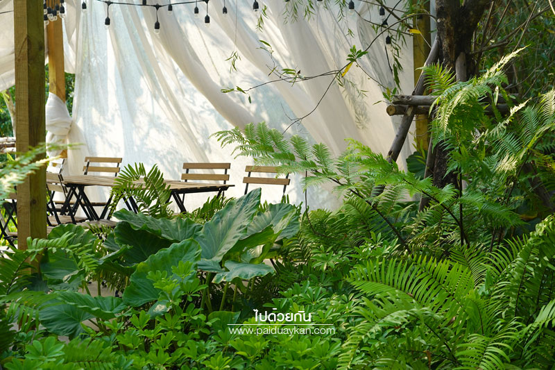 หมอกคาเฟ่, ร้านกาแฟเลียบด่วน, ร้านกาแฟย่านเกษตรนวมินทร์, หมอกคาเฟ่ ร้านกาแฟกลางแมกไม้ และไอหมอก