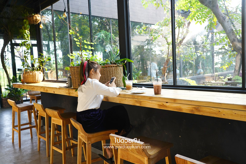 หมอกคาเฟ่, ร้านกาแฟเลียบด่วน, ร้านกาแฟย่านเกษตรนวมินทร์, หมอกคาเฟ่ ร้านกาแฟกลางแมกไม้ และไอหมอก