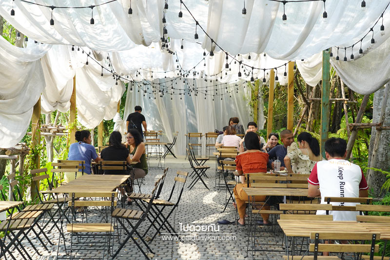 หมอกคาเฟ่, ร้านกาแฟเลียบด่วน, ร้านกาแฟย่านเกษตรนวมินทร์, หมอกคาเฟ่ ร้านกาแฟกลางแมกไม้ และไอหมอก