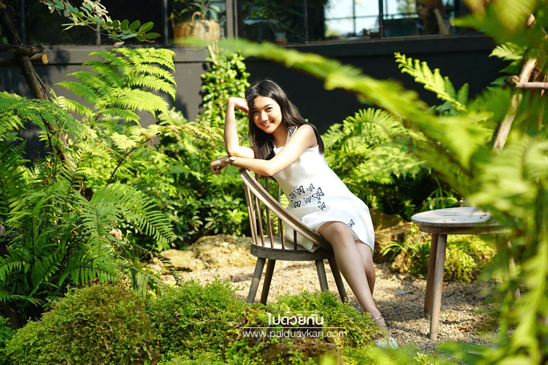 หมอกคาเฟ่, ร้านกาแฟเลียบด่วน, ร้านกาแฟย่านเกษตรนวมินทร์, หมอกคาเฟ่ ร้านกาแฟกลางแมกไม้ และไอหมอก