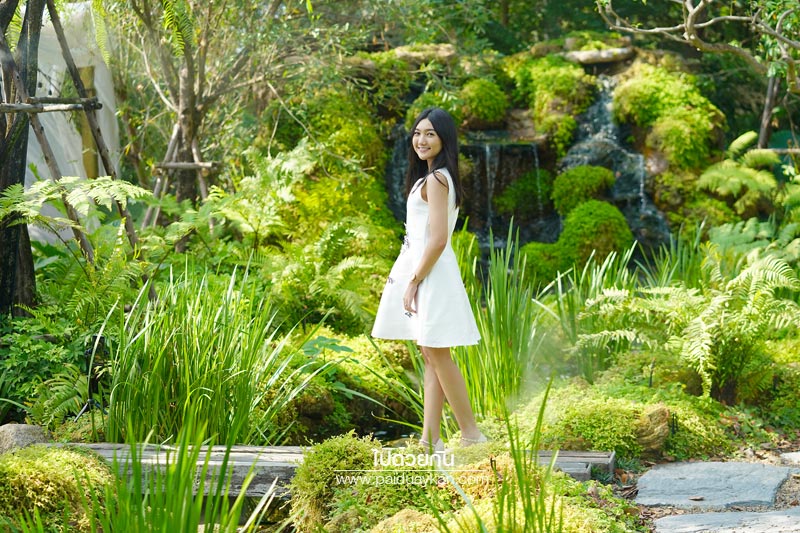 หมอกคาเฟ่, ร้านกาแฟเลียบด่วน, ร้านกาแฟย่านเกษตรนวมินทร์, หมอกคาเฟ่ ร้านกาแฟกลางแมกไม้ และไอหมอก