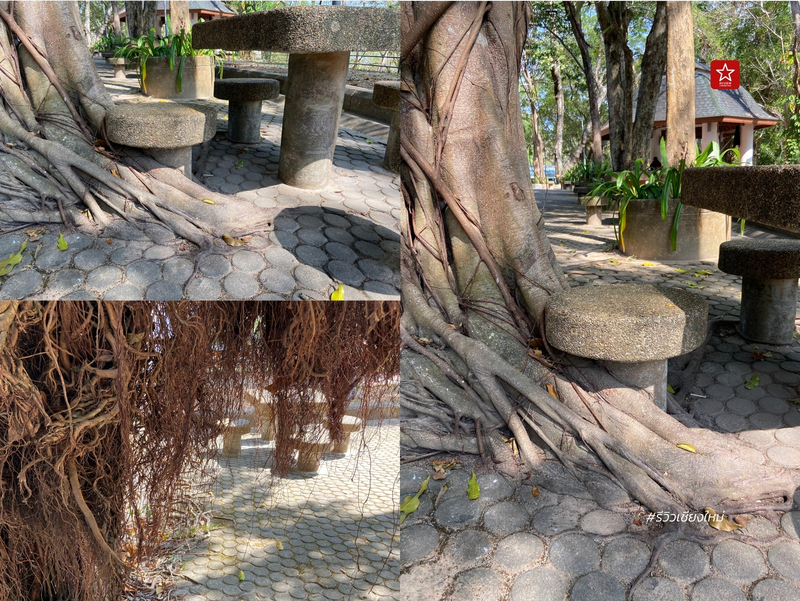 thai top tour, บินตรงชียงใหม่ไปภูเก็ต, บินตรงเชียงใหม่ภูเก็ต, อ่าวมาหยา, เกาะพีพี, เกาะไข่, เขารัง, เชียงใหม่ไปภูเก็ต, เที่ยวภูเก็ต, แหลมพรหมเทพ, แอร์เอเชีย ภูเก็ต, แอร์เอเชีย เชียงใหม่, ไทยท็อปทัวร์, บินตรงเชียงใหม่ไปภูเก็ต เที่ยว private tour ไปกับ thai top tour มีบริการ รับ-ส่งที่สนามบิน