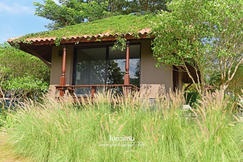 ร้านกาแฟเขาใหญ่, คาเฟ่เขาใหญ่, เขาใหญ่, doctor coffee เขาใหญ่, doctor coffee khaoyai, doctor coffee เขาใหญ่ จิบเครื่องดื่ม ชมสวน ถ่ายภาพฟุ้งฟิ้ง