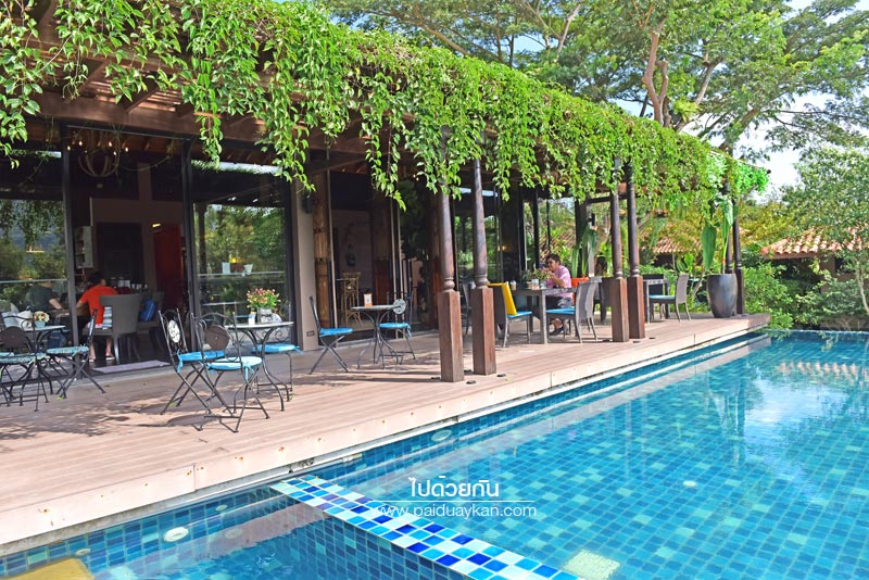 ร้านกาแฟเขาใหญ่, คาเฟ่เขาใหญ่, เขาใหญ่, doctor coffee เขาใหญ่, doctor coffee khaoyai, doctor coffee เขาใหญ่ จิบเครื่องดื่ม ชมสวน ถ่ายภาพฟุ้งฟิ้ง