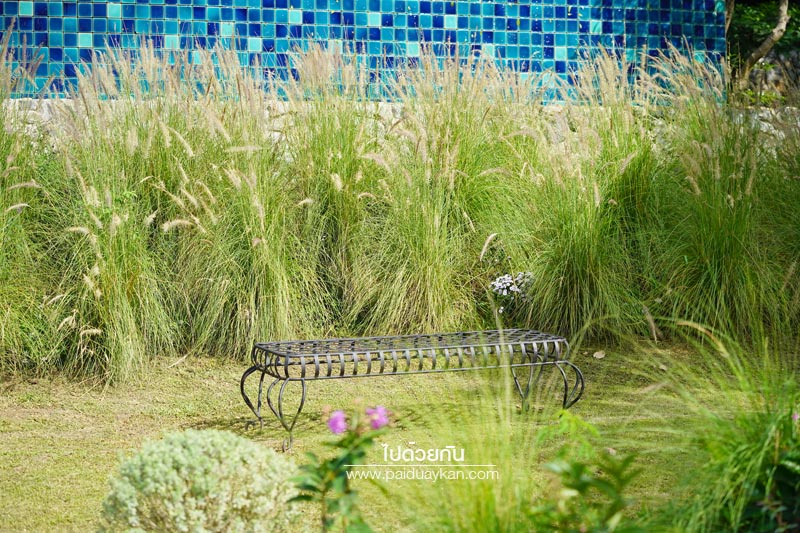 ร้านกาแฟเขาใหญ่, คาเฟ่เขาใหญ่, เขาใหญ่, doctor coffee เขาใหญ่, doctor coffee khaoyai, doctor coffee เขาใหญ่ จิบเครื่องดื่ม ชมสวน ถ่ายภาพฟุ้งฟิ้ง