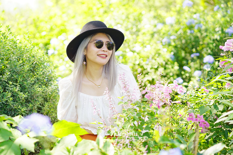 ร้านกาแฟเขาใหญ่, คาเฟ่เขาใหญ่, เขาใหญ่, doctor coffee เขาใหญ่, doctor coffee khaoyai, doctor coffee เขาใหญ่ จิบเครื่องดื่ม ชมสวน ถ่ายภาพฟุ้งฟิ้ง