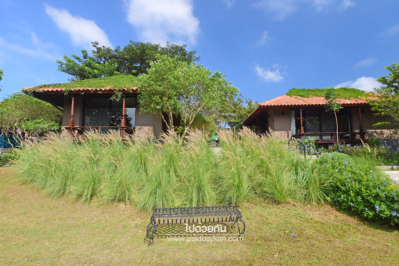 ร้านกาแฟเขาใหญ่, คาเฟ่เขาใหญ่, เขาใหญ่, doctor coffee เขาใหญ่, doctor coffee khaoyai, doctor coffee เขาใหญ่ จิบเครื่องดื่ม ชมสวน ถ่ายภาพฟุ้งฟิ้ง