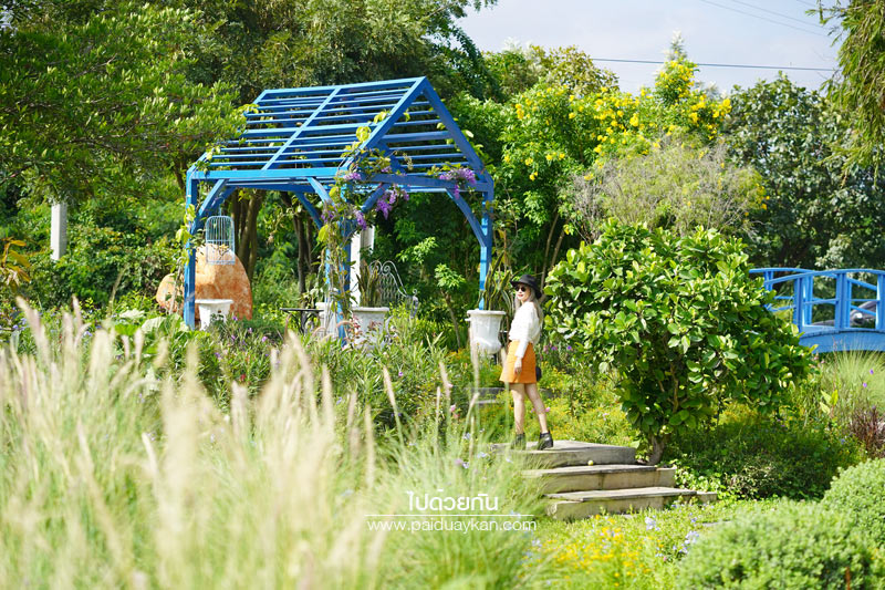 ร้านกาแฟเขาใหญ่, คาเฟ่เขาใหญ่, เขาใหญ่, doctor coffee เขาใหญ่, doctor coffee khaoyai, doctor coffee เขาใหญ่ จิบเครื่องดื่ม ชมสวน ถ่ายภาพฟุ้งฟิ้ง