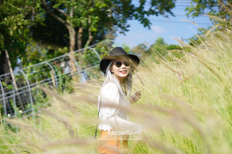 ร้านกาแฟเขาใหญ่, คาเฟ่เขาใหญ่, เขาใหญ่, doctor coffee เขาใหญ่, doctor coffee khaoyai, doctor coffee เขาใหญ่ จิบเครื่องดื่ม ชมสวน ถ่ายภาพฟุ้งฟิ้ง