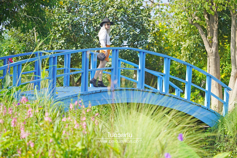 ร้านกาแฟเขาใหญ่, คาเฟ่เขาใหญ่, เขาใหญ่, doctor coffee เขาใหญ่, doctor coffee khaoyai, doctor coffee เขาใหญ่ จิบเครื่องดื่ม ชมสวน ถ่ายภาพฟุ้งฟิ้ง