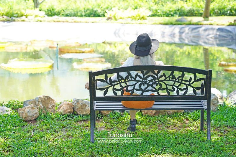 ร้านกาแฟเขาใหญ่, คาเฟ่เขาใหญ่, เขาใหญ่, doctor coffee เขาใหญ่, doctor coffee khaoyai, doctor coffee เขาใหญ่ จิบเครื่องดื่ม ชมสวน ถ่ายภาพฟุ้งฟิ้ง