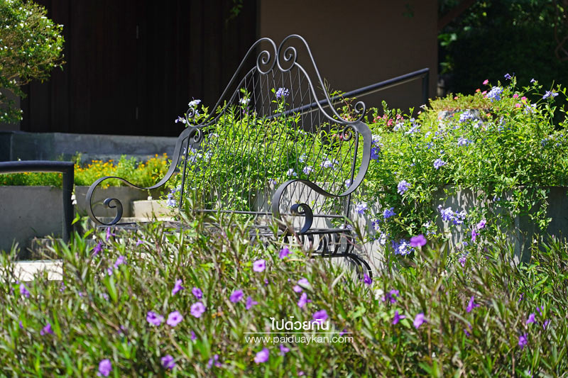 ร้านกาแฟเขาใหญ่, คาเฟ่เขาใหญ่, เขาใหญ่, doctor coffee เขาใหญ่, doctor coffee khaoyai, doctor coffee เขาใหญ่ จิบเครื่องดื่ม ชมสวน ถ่ายภาพฟุ้งฟิ้ง