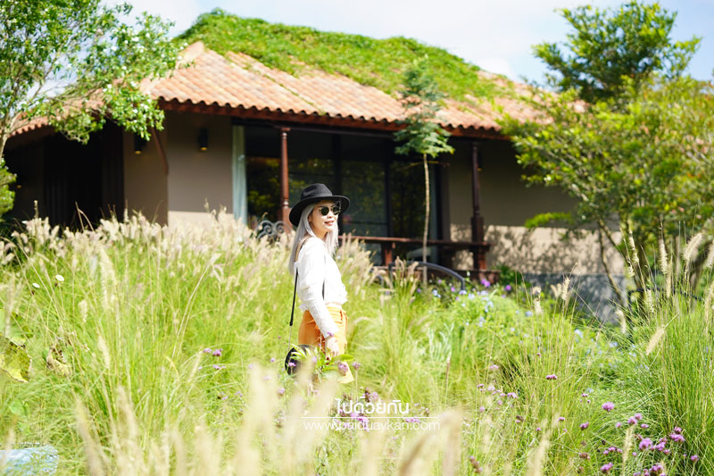 ร้านกาแฟเขาใหญ่, คาเฟ่เขาใหญ่, เขาใหญ่, doctor coffee เขาใหญ่, doctor coffee khaoyai, doctor coffee เขาใหญ่ จิบเครื่องดื่ม ชมสวน ถ่ายภาพฟุ้งฟิ้ง