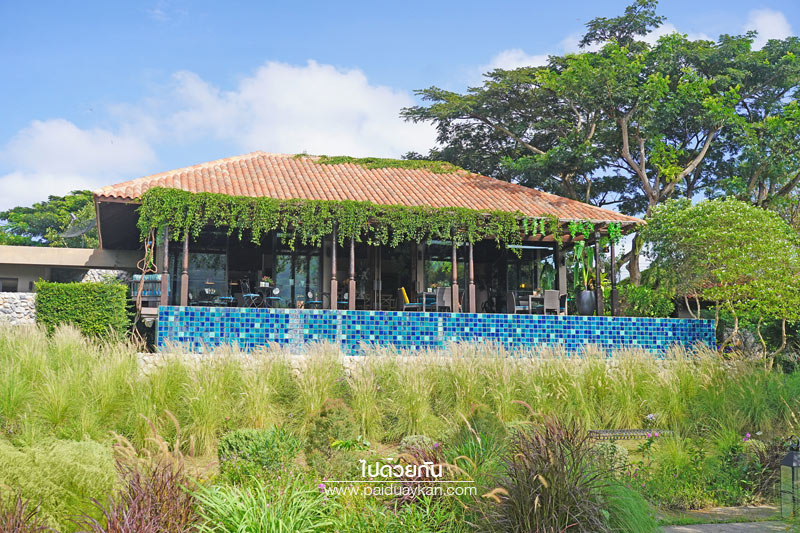 ร้านกาแฟเขาใหญ่, คาเฟ่เขาใหญ่, เขาใหญ่, doctor coffee เขาใหญ่, doctor coffee khaoyai, doctor coffee เขาใหญ่ จิบเครื่องดื่ม ชมสวน ถ่ายภาพฟุ้งฟิ้ง