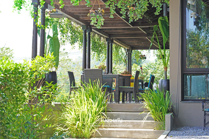 ร้านกาแฟเขาใหญ่, คาเฟ่เขาใหญ่, เขาใหญ่, doctor coffee เขาใหญ่, doctor coffee khaoyai, doctor coffee เขาใหญ่ จิบเครื่องดื่ม ชมสวน ถ่ายภาพฟุ้งฟิ้ง