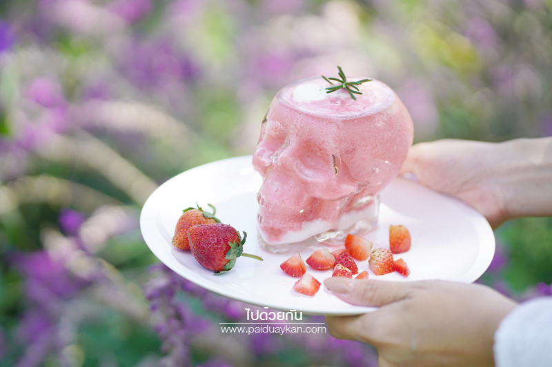 ร้านกาแฟเขาใหญ่, คาเฟ่เขาใหญ่, เขาใหญ่, doctor coffee เขาใหญ่, doctor coffee khaoyai, doctor coffee เขาใหญ่ จิบเครื่องดื่ม ชมสวน ถ่ายภาพฟุ้งฟิ้ง