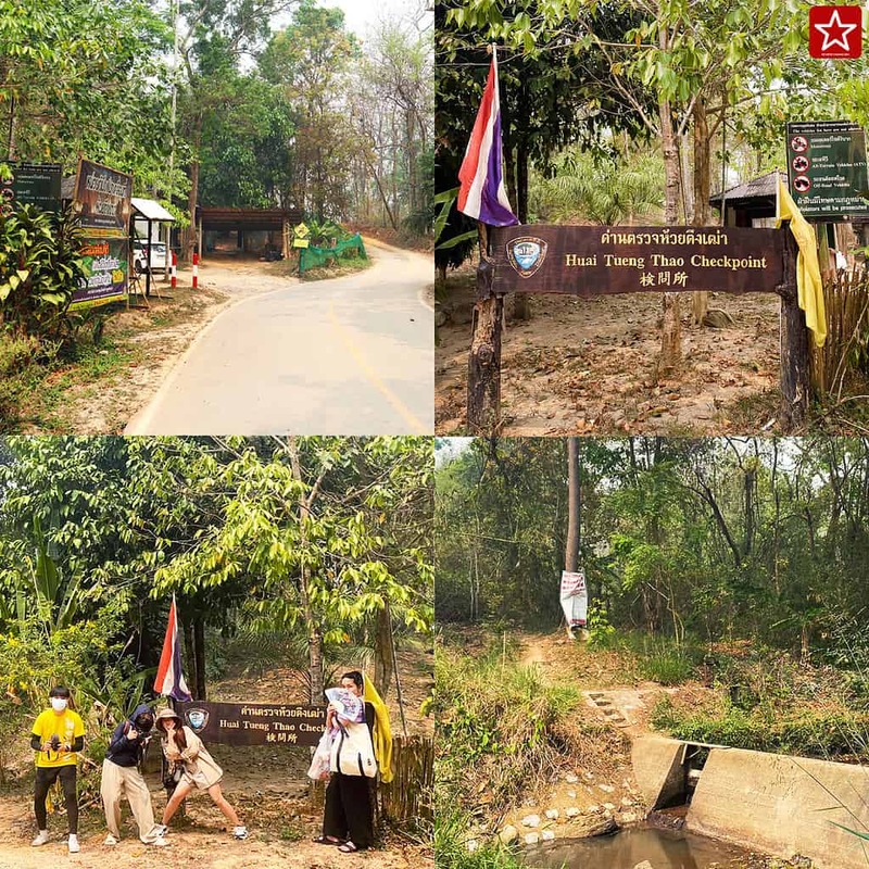 reviewchaingmai, น้ำตกห้วยตึงเฒ่า, น้ำตกเชียงใหม่, รีวิวเชียงใหม่, วิ่งเทรลเชียงใหม่, ห้วยตึงเฒ่า, เดินป่าเชียงใหม่, เดินเขาเชียงใหม่, สุดทึ่ง!! น้ำตกห้วยตึงเฒ่า ลึกลับใกล้ตัวเมืองเชียงใหม่