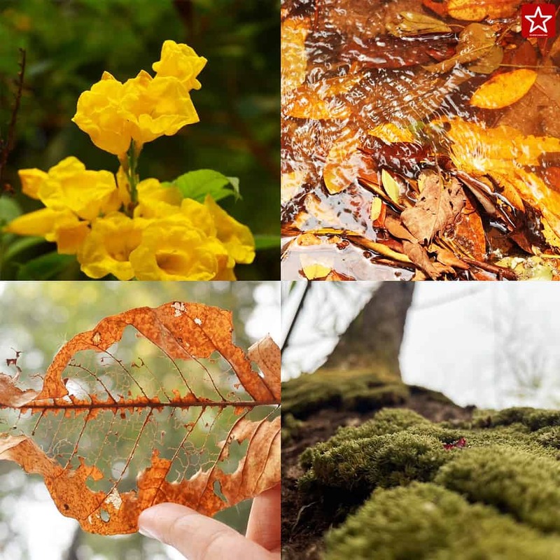 reviewchaingmai, น้ำตกห้วยตึงเฒ่า, น้ำตกเชียงใหม่, รีวิวเชียงใหม่, วิ่งเทรลเชียงใหม่, ห้วยตึงเฒ่า, เดินป่าเชียงใหม่, เดินเขาเชียงใหม่, สุดทึ่ง!! น้ำตกห้วยตึงเฒ่า ลึกลับใกล้ตัวเมืองเชียงใหม่