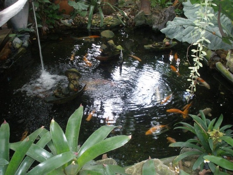 top 15+ ร้านอาหารสุพรรณบุรี 2567 ร้านอาหารริมน้ำ อาหารขึ้นชื่อ บรรยากาศดี ราคาถูก