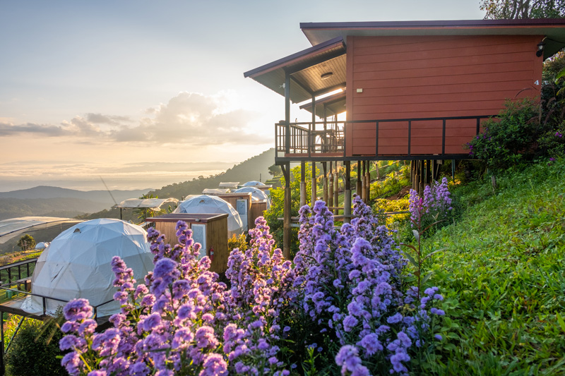 top 17+ ที่พักม่อนแจ่ม 2567 จ.เชียงใหม่ วิวทะเลหมอก อัปเดตใหม่ล่าสุด